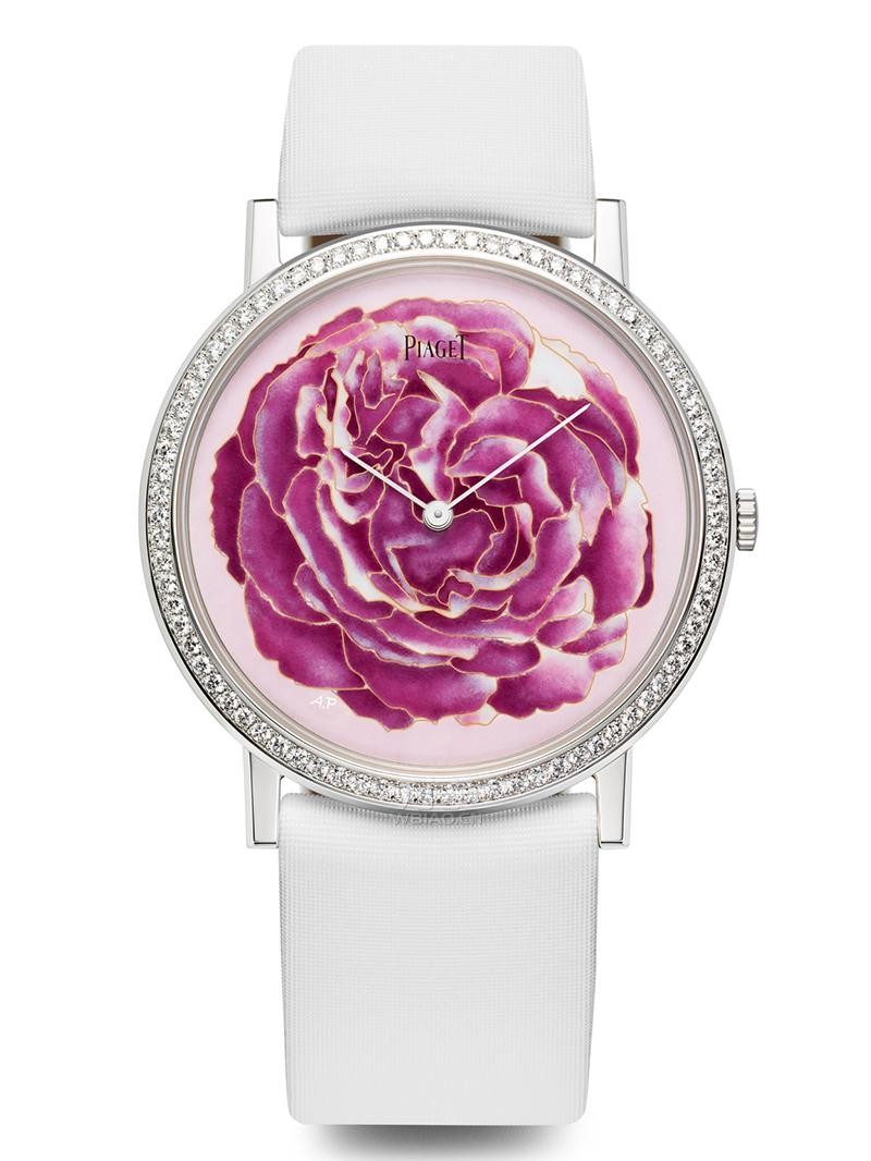 伯爵手表图片,伯爵玫瑰腕表高贵与优雅同在