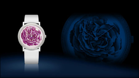 Piaget Rose 珐琅彩绘Altiplano腕表