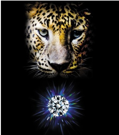 宝怡珠宝2015上海展亮点，与时俱进“南非美钻”全面掀起“营销年”