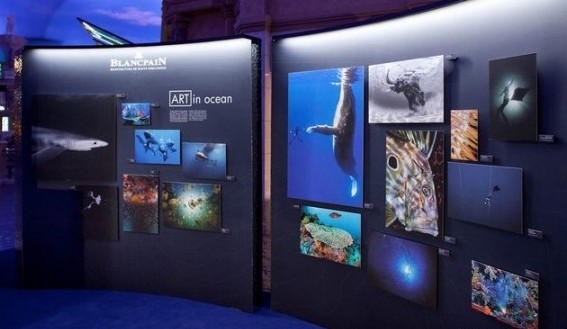 Blancpain宝珀“心系海洋”全球巡回主题展
