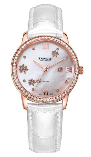 tangin是什么牌子的手表，tangin手表是什么档次？手表品牌