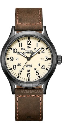 天美时腕表官网，TIMEX手表多少钱？