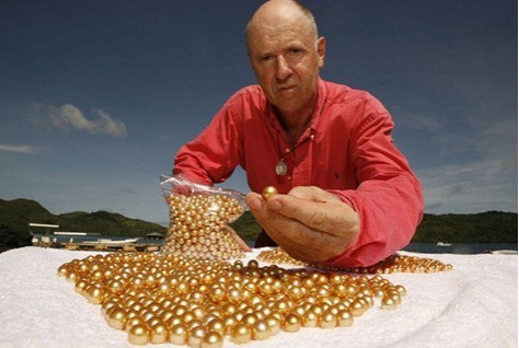 「黄金珍珠怎么来的」打开菲律宾黄金珍珠养殖过程