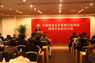 据媒体报道，中宝协琥珀分会在北京召开成立大会