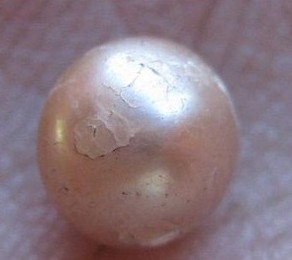 澳洲发现罕见天然粉色珍珠 许有2000年历史