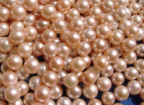 人工养殖珍珠