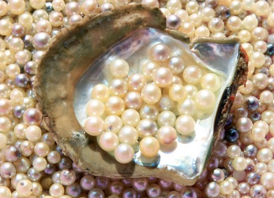 珍珠的 人工养殖方法是怎样的？九百年前宋代珍珠人工养殖