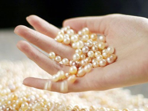 珍珠现代美容作用