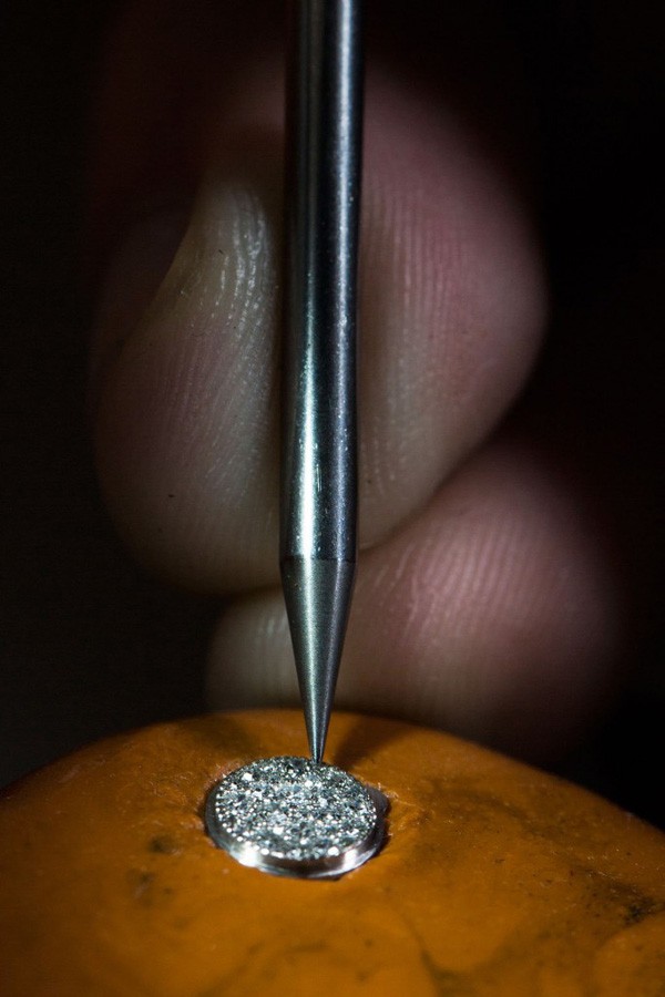 Van Cleef&Arpels 全新天堂鸟珐琅腕表