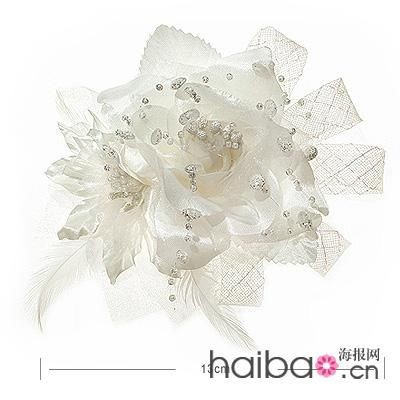 图像“http://www.mabellelife.com/mbl/images/product/large/B04753Y.jpg”因其本身有错无法显示。