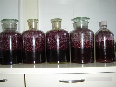 怎么制作葡萄酒