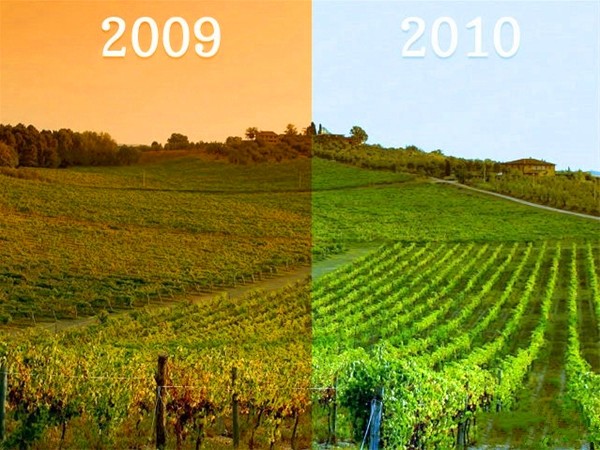 葡萄酒的年份差异